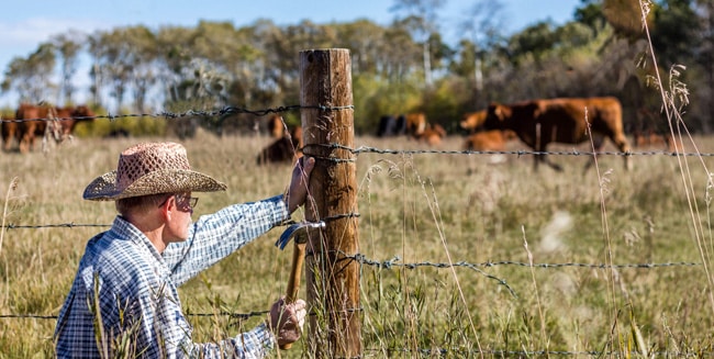 barb-wire-ranch